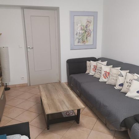 The Nice - 3 Rooms, 3Air Cond, 3Tv, 3Fans, 2 Wc, Wifi Everywhere 5Min Aeroport, Train, Beach, 1Min Tram, 15 Min Centre, Port, Parking Possible エクステリア 写真